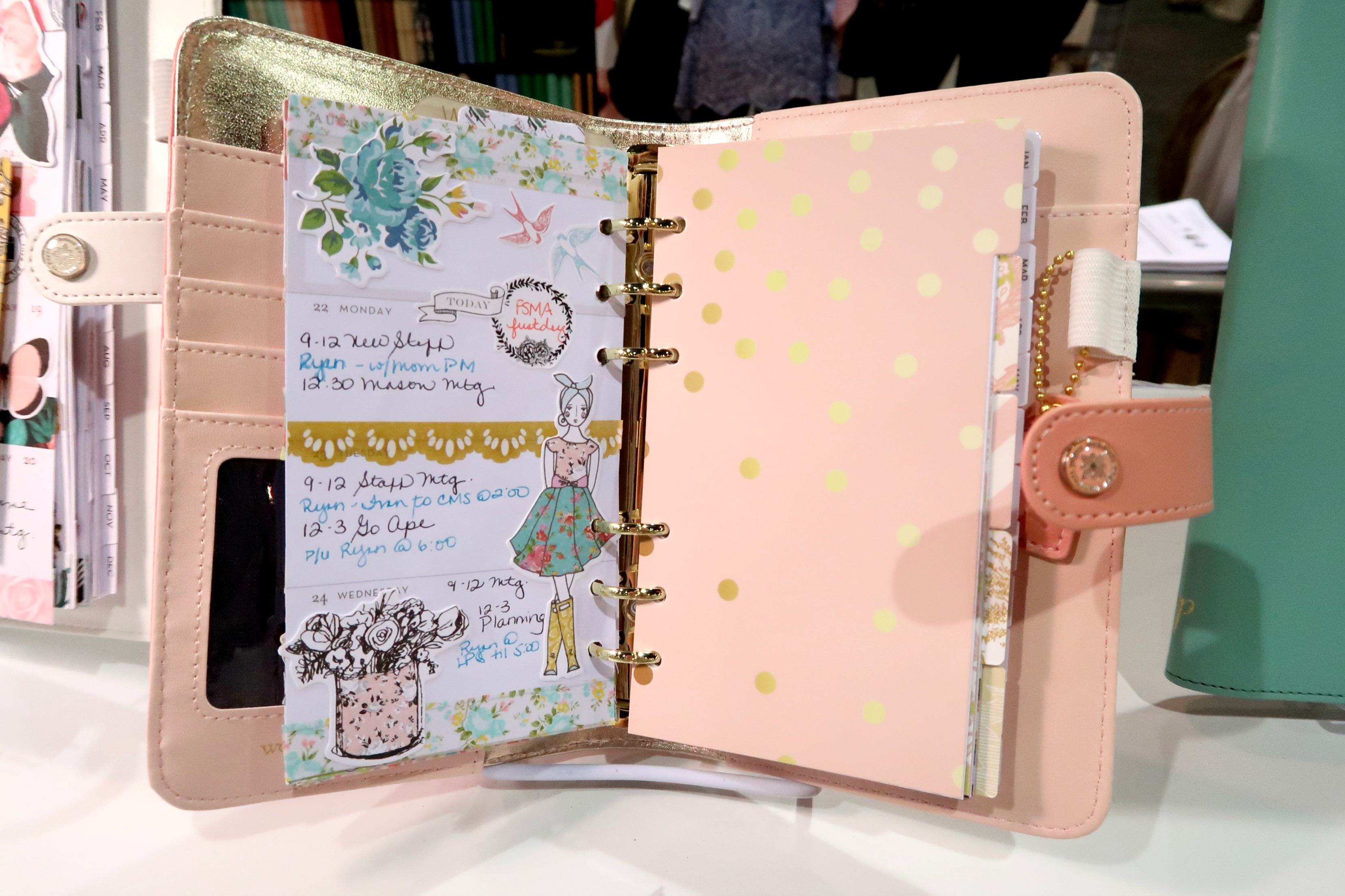 Planner Addict - Webster's Pages