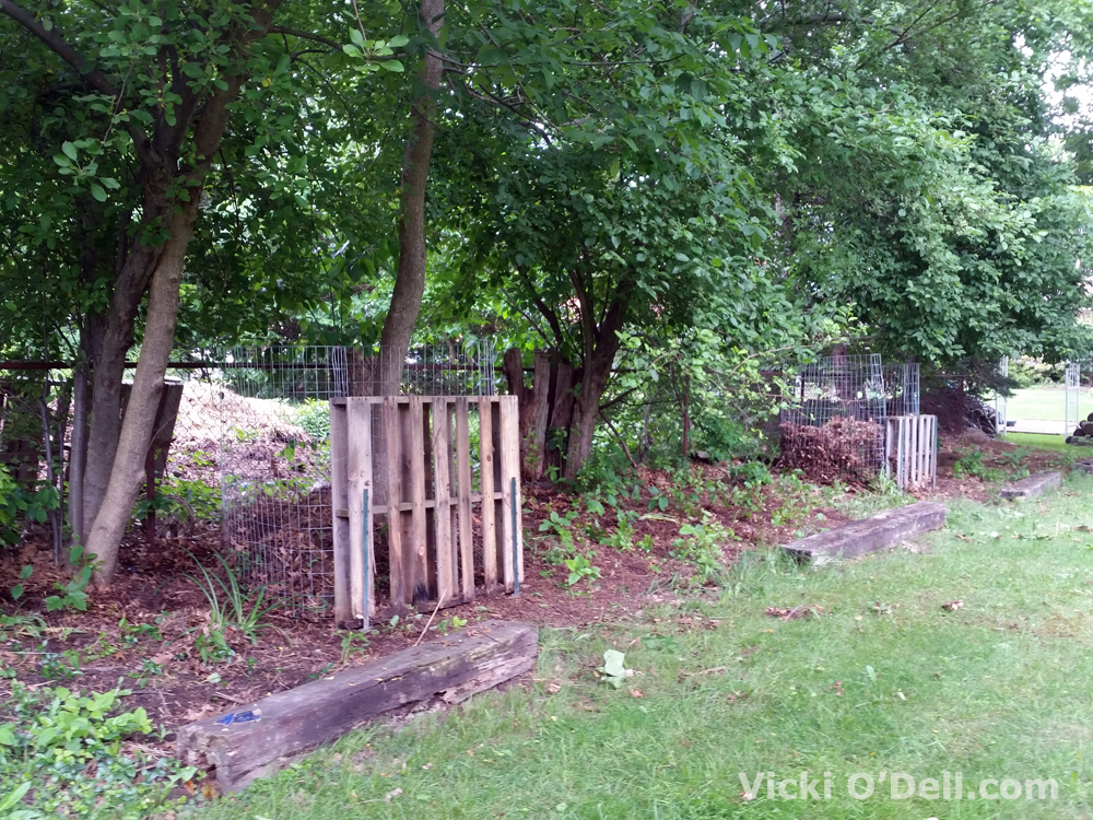 How to Start Composting - Pallet and Steel Wire Compost Bins