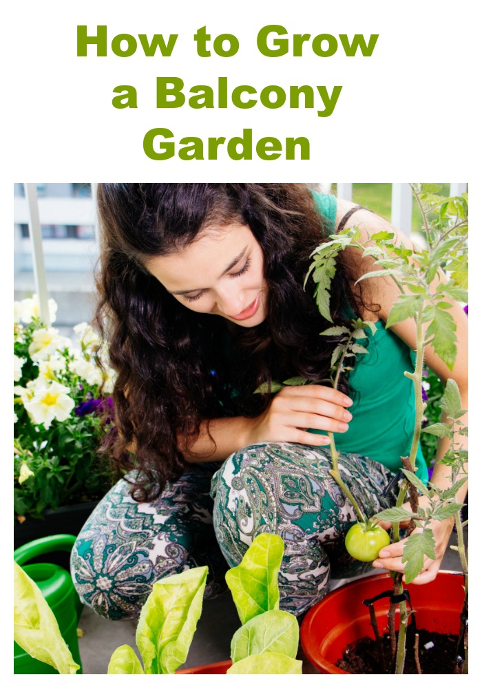 How to Grow a Balcony Garden