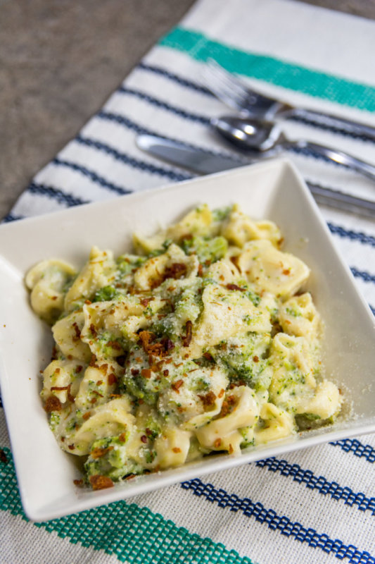 Easy 3 Ingredient Broccoli Tortellini Alfredo Recipe – Quick Dinner Recipes