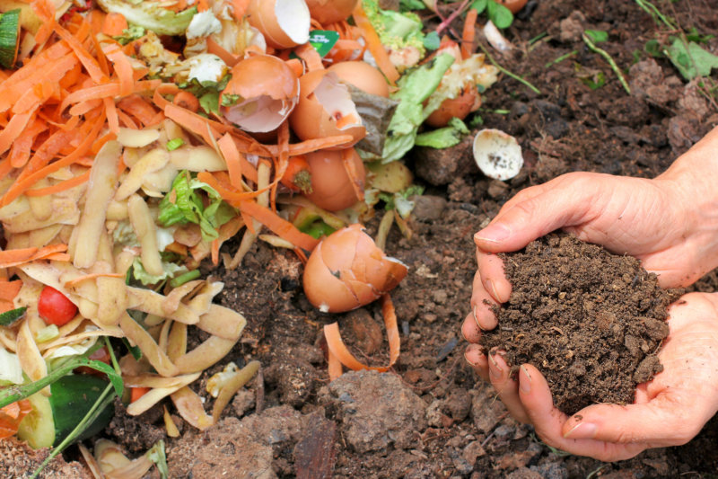 How to Start Composting